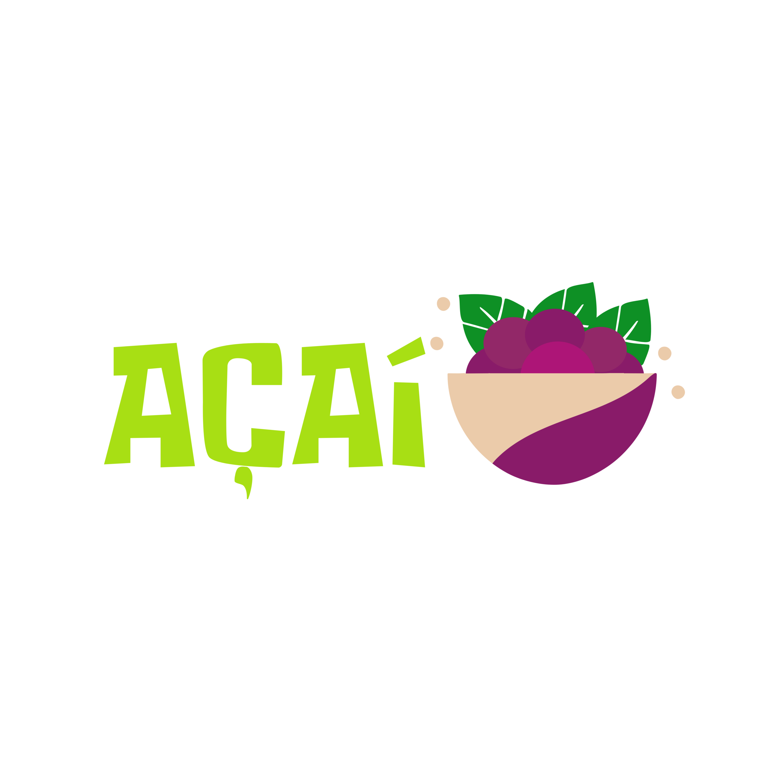 Saboriza -Açai Bowl